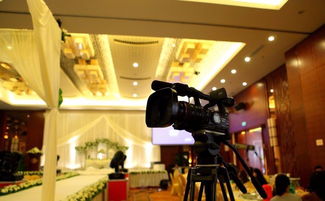 专业活动策划与承办 一站式服务打造精彩瞬间