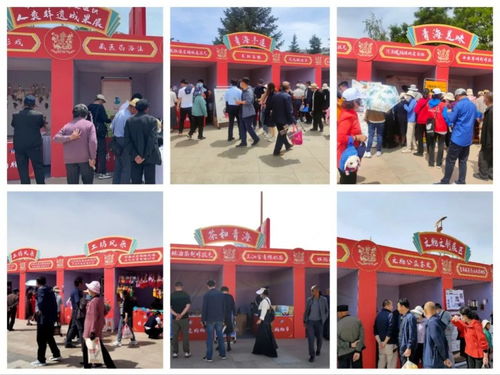 多彩非遗荟萃 传统文化彰显时代魅力——2023年青海省文化和自然遗产日暨非遗购物节圆满落幕