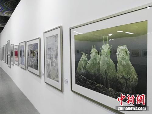 鸡西版画晋京展，黑土地艺术之花绽放北京